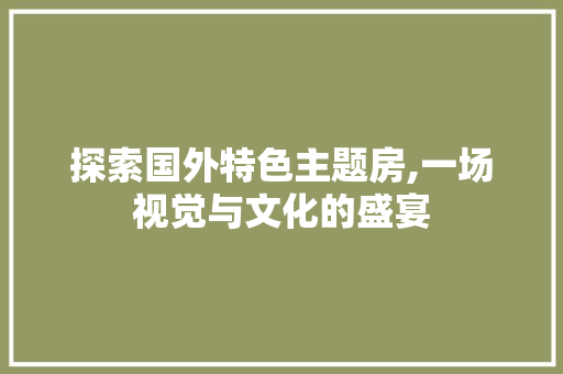 探索国外特色主题房,一场视觉与文化的盛宴