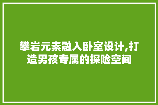 攀岩元素融入卧室设计,打造男孩专属的探险空间