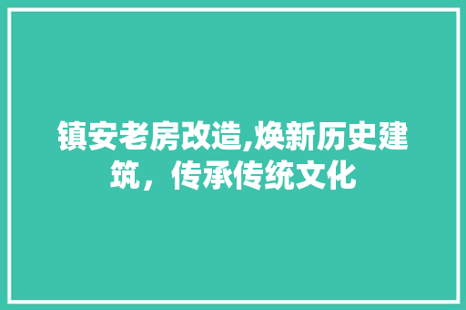 镇安老房改造,焕新历史建筑，传承传统文化
