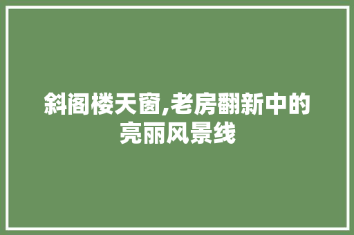 斜阁楼天窗,老房翻新中的亮丽风景线