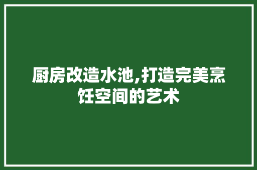 厨房改造水池,打造完美烹饪空间的艺术