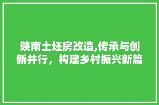 陕南土坯房改造,传承与创新并行，构建乡村振兴新篇章