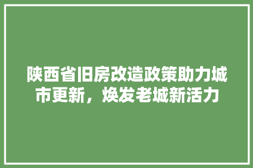 陕西省旧房改造政策助力城市更新，焕发老城新活力