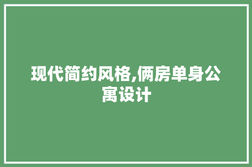 现代简约风格,俩房单身公寓设计