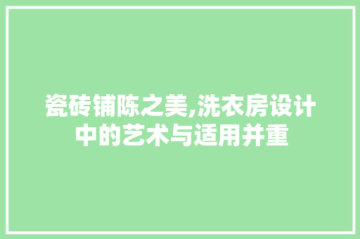 瓷砖铺陈之美,洗衣房设计中的艺术与适用并重