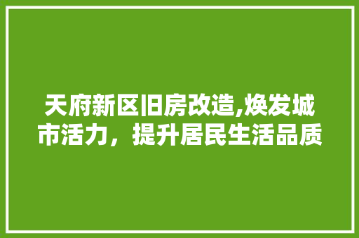 天府新区旧房改造,焕发城市活力，提升居民生活品质