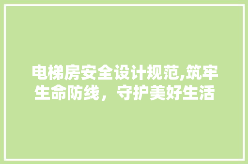 电梯房安全设计规范,筑牢生命防线，守护美好生活