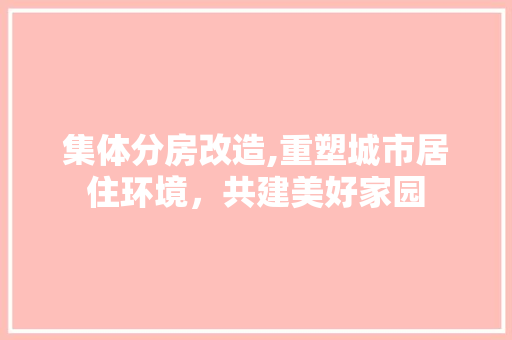 集体分房改造,重塑城市居住环境，共建美好家园