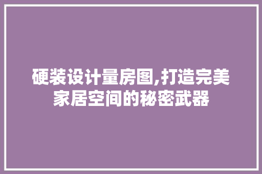 硬装设计量房图,打造完美家居空间的秘密武器