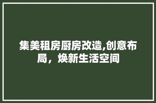 集美租房厨房改造,创意布局，焕新生活空间
