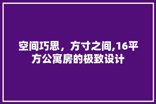 空间巧思，方寸之间,16平方公寓房的极致设计
