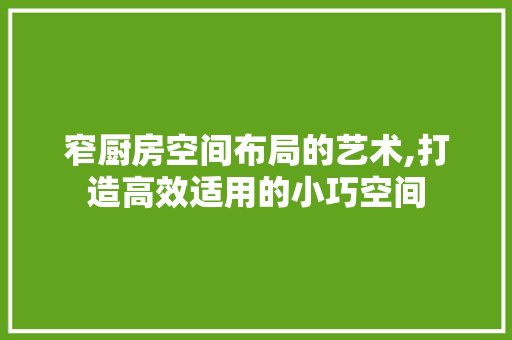 窄厨房空间布局的艺术,打造高效适用的小巧空间