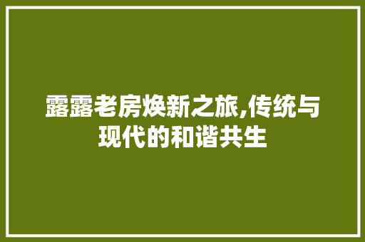 露露老房焕新之旅,传统与现代的和谐共生