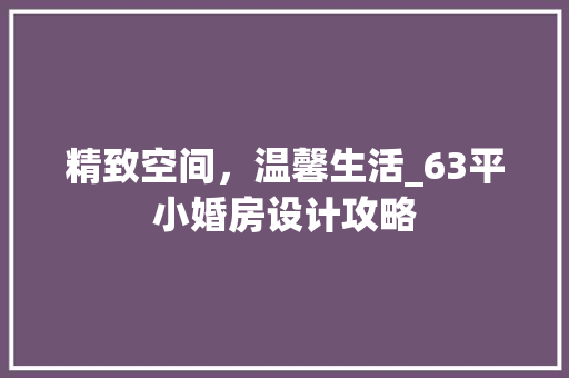 精致空间，温馨生活_63平小婚房设计攻略