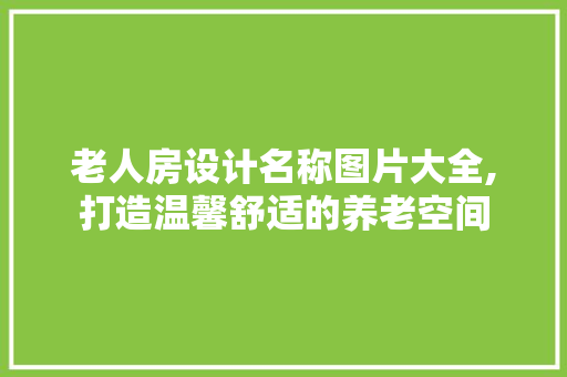 老人房设计名称图片大全,打造温馨舒适的养老空间