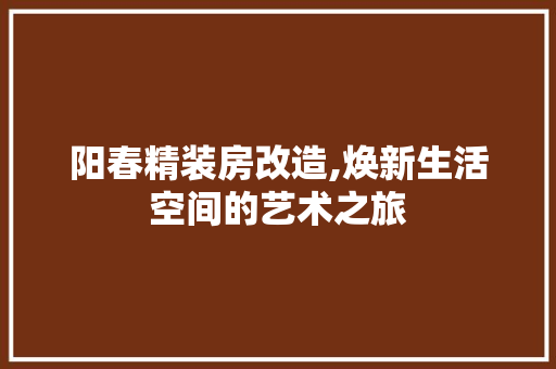 阳春精装房改造,焕新生活空间的艺术之旅