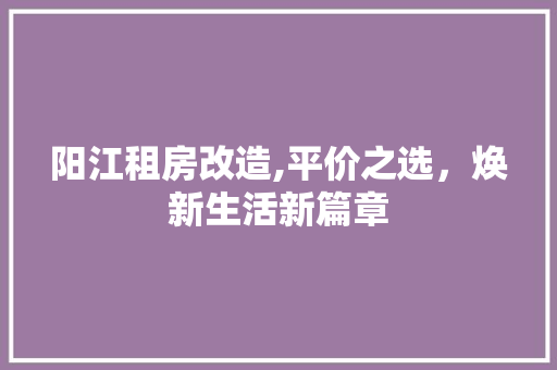 阳江租房改造,平价之选，焕新生活新篇章