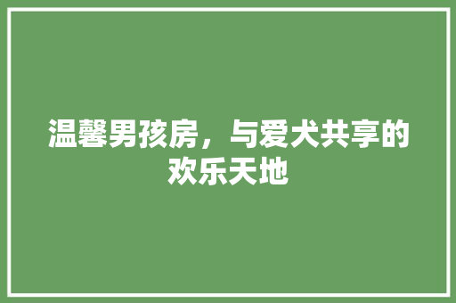 温馨男孩房，与爱犬共享的欢乐天地