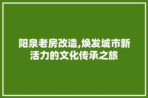 阳泉老房改造,焕发城市新活力的文化传承之旅