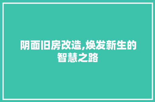阴面旧房改造,焕发新生的智慧之路