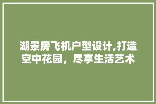 湖景房飞机户型设计,打造空中花园，尽享生活艺术