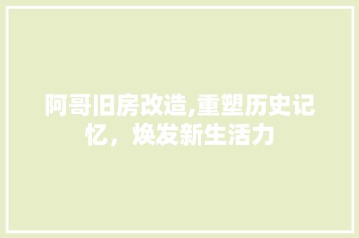 阿哥旧房改造,重塑历史记忆，焕发新生活力