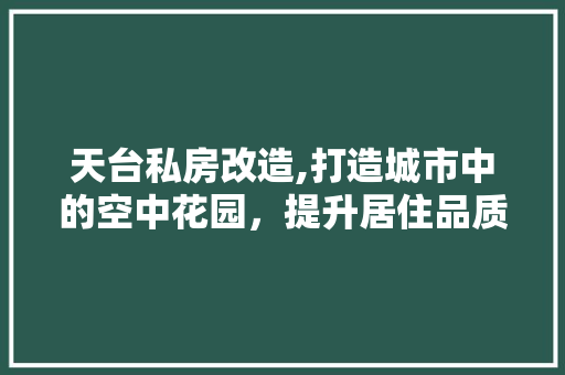 天台私房改造,打造城市中的空中花园，提升居住品质