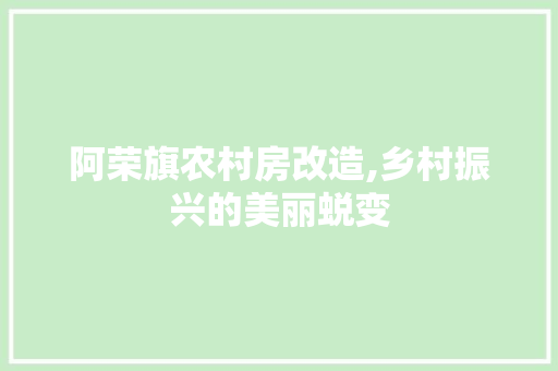 阿荣旗农村房改造,乡村振兴的美丽蜕变