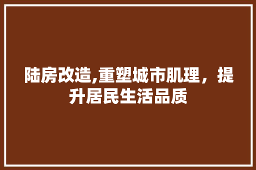 陆房改造,重塑城市肌理，提升居民生活品质