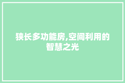 狭长多功能房,空间利用的智慧之光