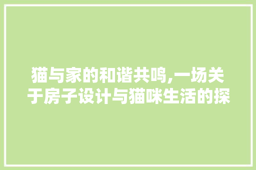 猫与家的和谐共鸣,一场关于房子设计与猫咪生活的探索之旅
