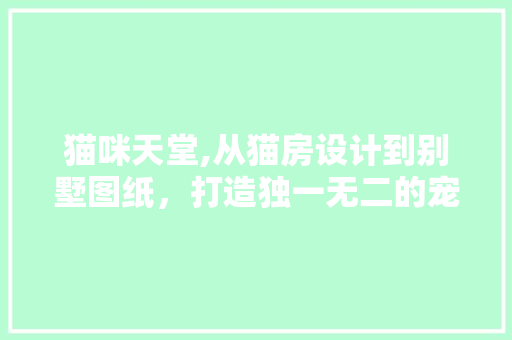 猫咪天堂,从猫房设计到别墅图纸，打造独一无二的宠物乐园