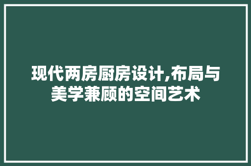 现代两房厨房设计,布局与美学兼顾的空间艺术