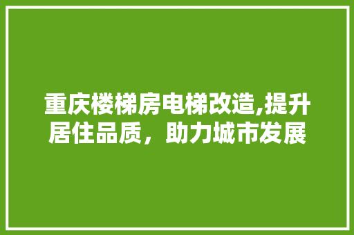 重庆楼梯房电梯改造,提升居住品质，助力城市发展