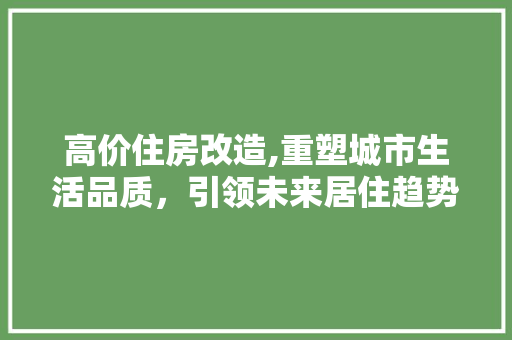 高价住房改造,重塑城市生活品质，引领未来居住趋势