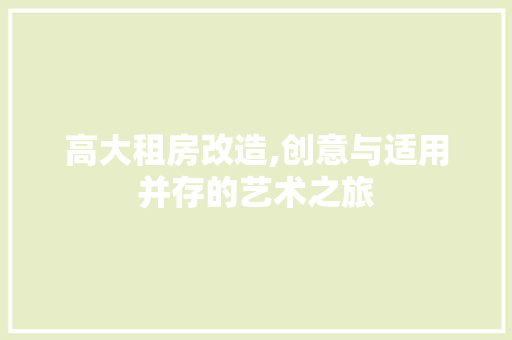 高大租房改造,创意与适用并存的艺术之旅