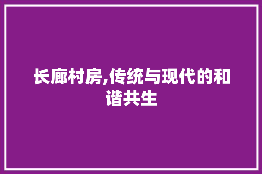 长廊村房,传统与现代的和谐共生