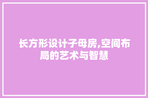 长方形设计子母房,空间布局的艺术与智慧