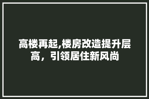 高楼再起,楼房改造提升层高，引领居住新风尚