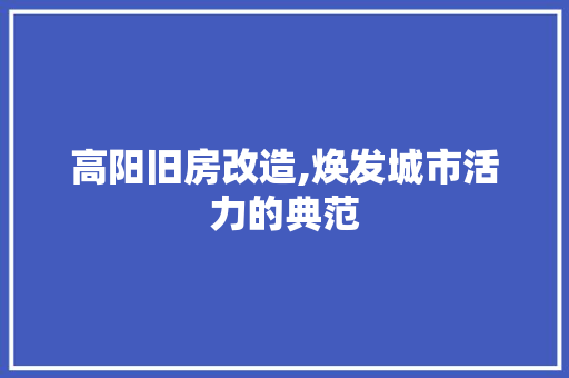 高阳旧房改造,焕发城市活力的典范