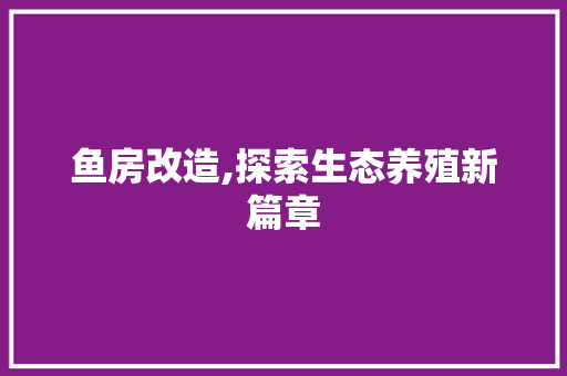 鱼房改造,探索生态养殖新篇章