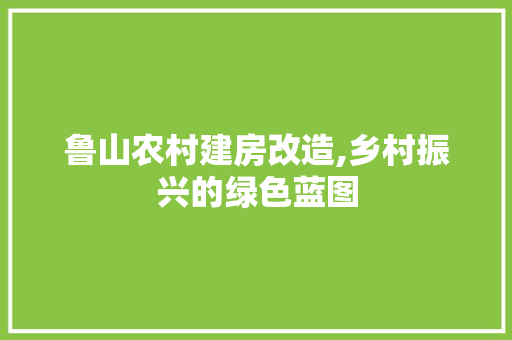 鲁山农村建房改造,乡村振兴的绿色蓝图