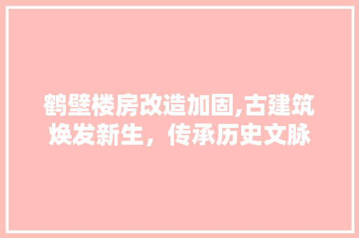 鹤壁楼房改造加固,古建筑焕发新生，传承历史文脉