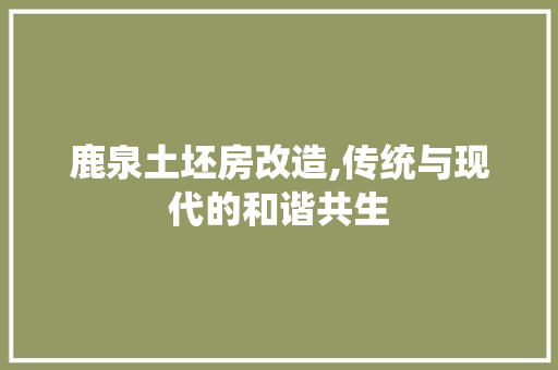 鹿泉土坯房改造,传统与现代的和谐共生