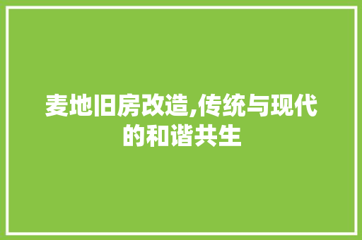 麦地旧房改造,传统与现代的和谐共生