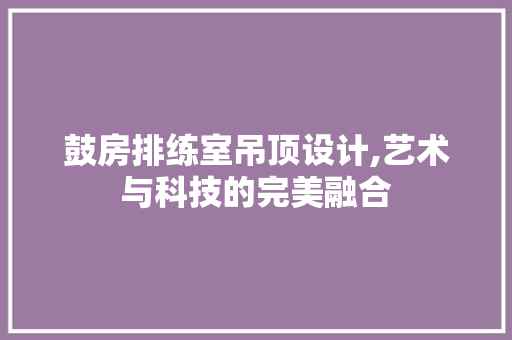 鼓房排练室吊顶设计,艺术与科技的完美融合