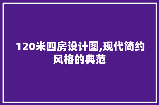 120米四房设计图,现代简约风格的典范