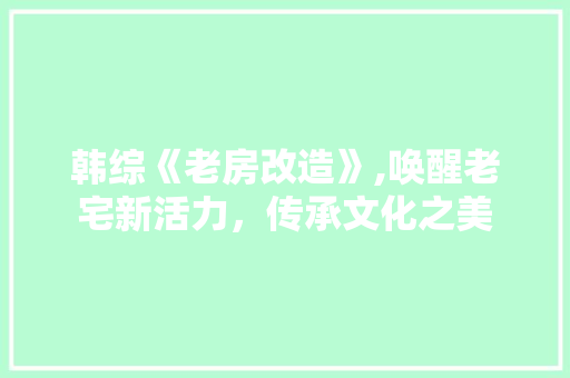 韩综《老房改造》,唤醒老宅新活力，传承文化之美