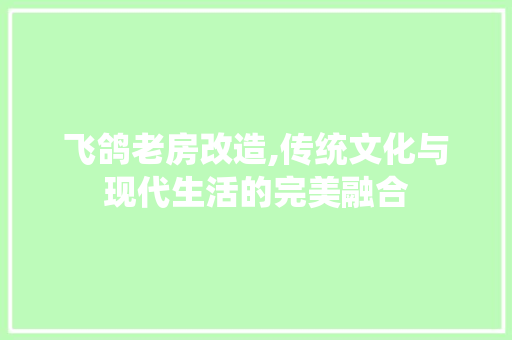 飞鸽老房改造,传统文化与现代生活的完美融合