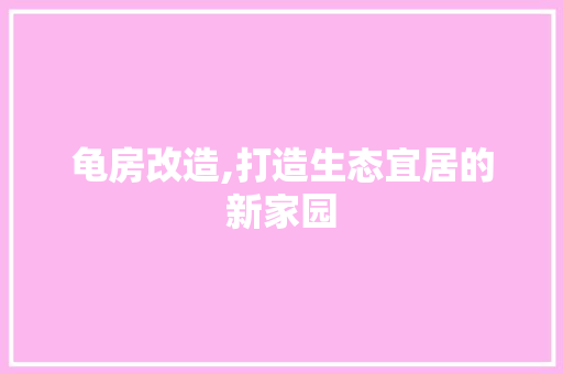 龟房改造,打造生态宜居的新家园